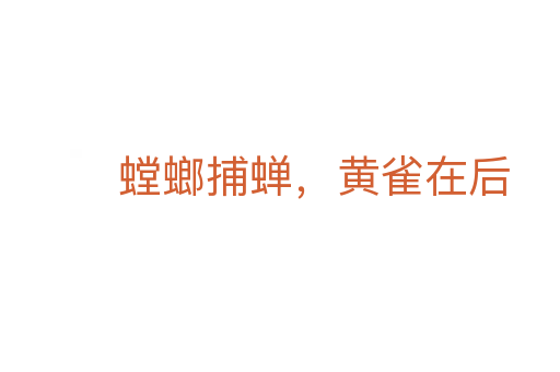 螳螂捕蝉,黄雀在后