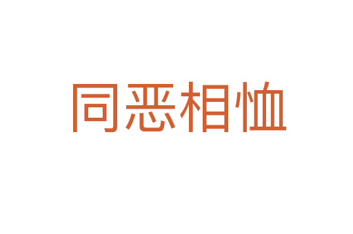 同恶相恤