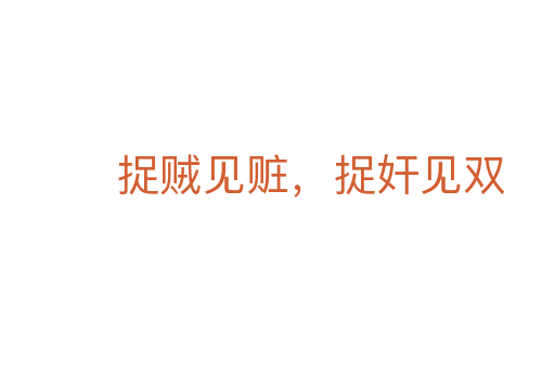 捉贼见赃,捉奸见双