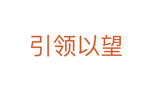 引领以望