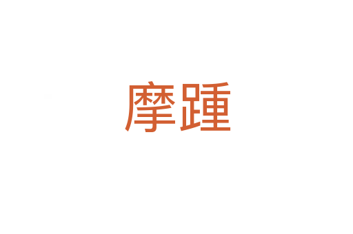 摩踵