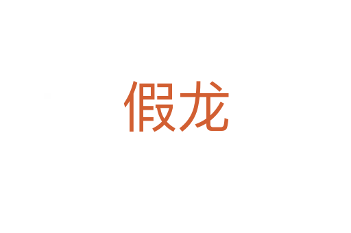 假龙