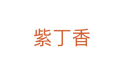 紫丁香