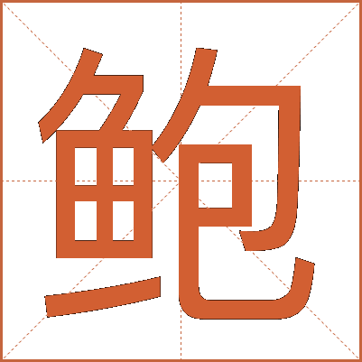 鲍