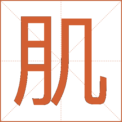 肌