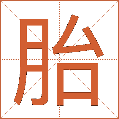 胎