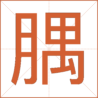 腢