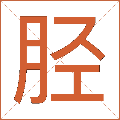 胫