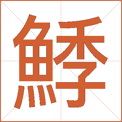 鯚