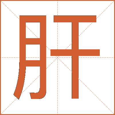 肝